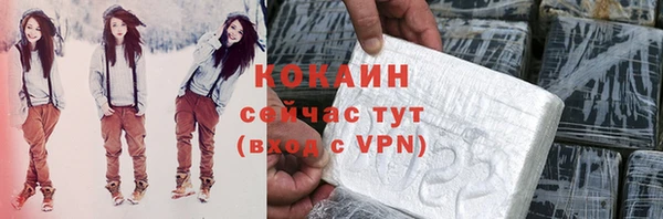дурь Магас